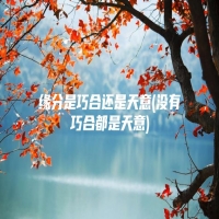 缘分是巧合还是天意(没有巧合都是天意)