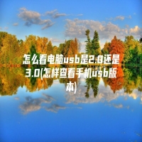 怎么看电脑usb是2.0还是3.0(怎样查看手机usb版本)