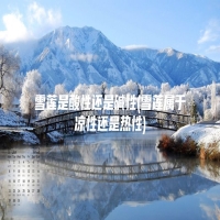 雪莲是酸性还是碱性(雪莲属于凉性还是热性)