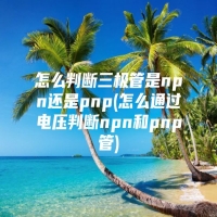 怎么判断三极管是npn还是pnp(怎么通过电压判断npn和pnp管)