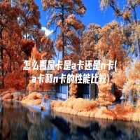 怎么看显卡是a卡还是n卡(a卡和n卡的性能比较)