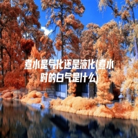 煮水是气化还是液化(煮水时的白气是什么)