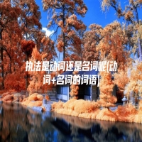 执法是动词还是名词呢(动词+名词的词语)