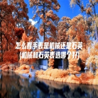 怎么看手表是机械还是石英(机械和石英表选哪个好)