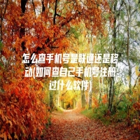 怎么查手机号是联通还是移动(如何查自己手机号注册过什么软件)